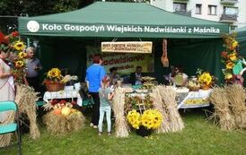 DSCN9527