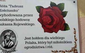 na tablicy wiersz