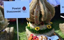 na zdjęciu wieniec dożynkowy Powiatu Staszowskiego udekorowany kolorowymi kwiatami