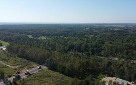 DJI_0703
