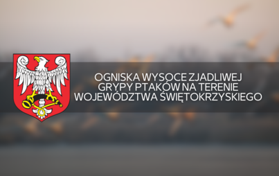 Zdjęcie do Ogniska wysoce zjadliwej grypy ptak&oacute;w na terenie wojew&oacute;dztwa świętokrzyskiego