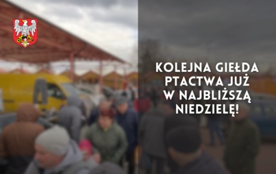 Zdjęcie do Kolejna giełda ptactwa już w najbliższą niedzielę!
