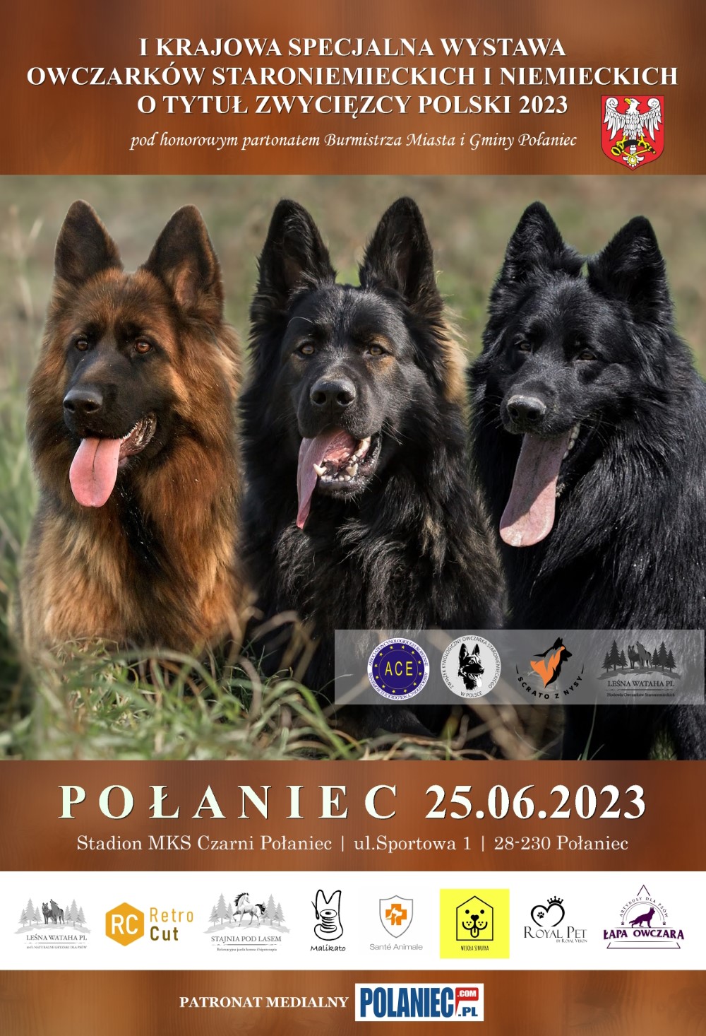 plakat_Połaniec