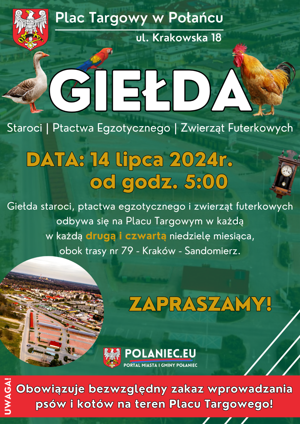 Plakat z informacją z Giełdą Ptactwa w Połańcu