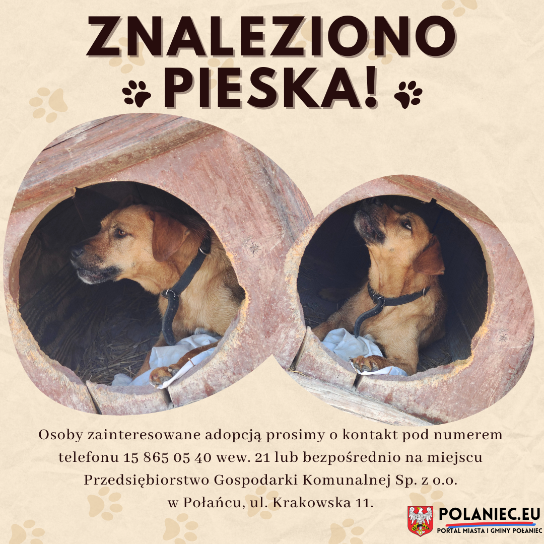 Plakat z&nbsp;informacja o&nbsp;znalezionym piesku. 