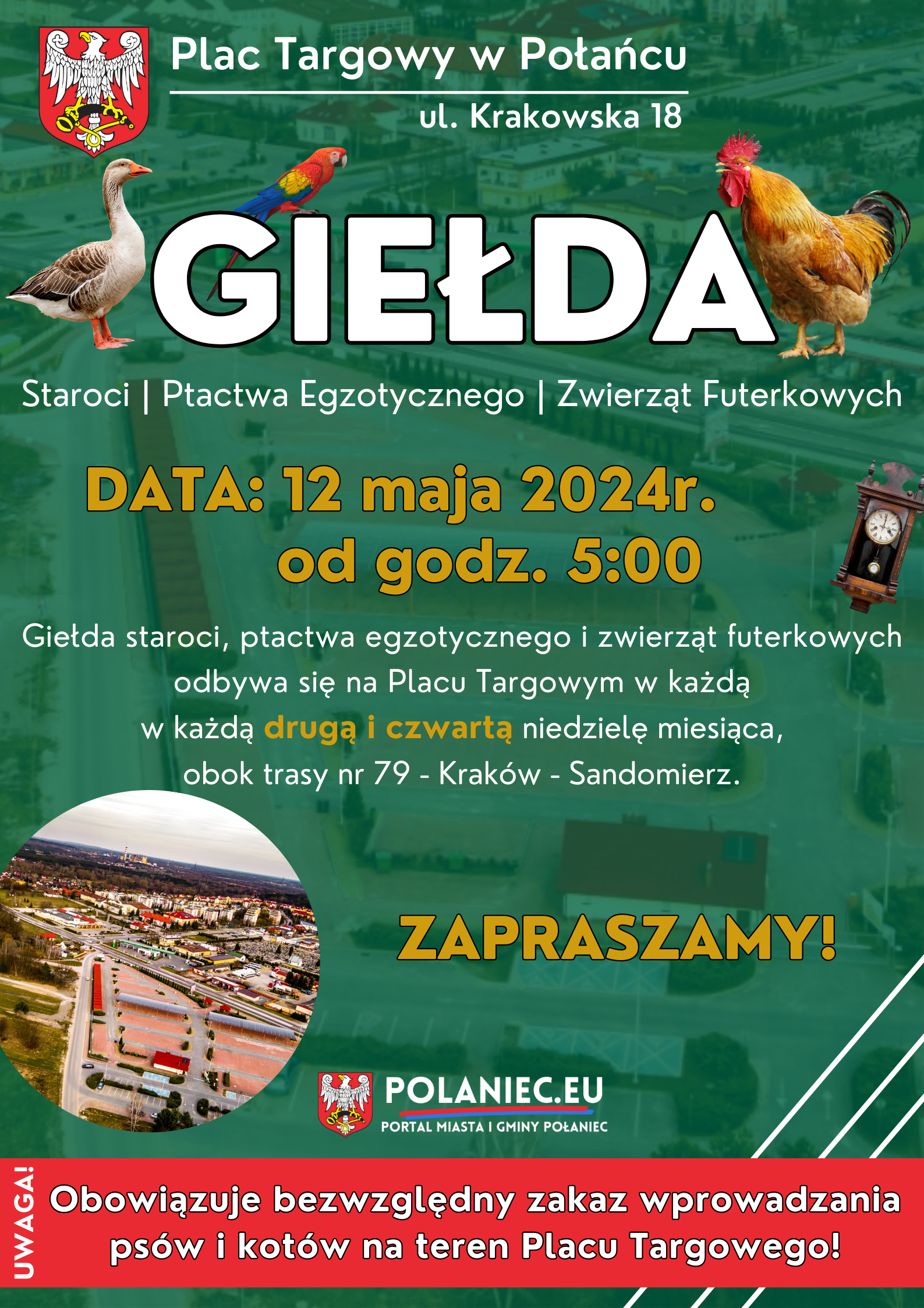 Plakat z informacją z Giełdą Ptactwa w Połańcu