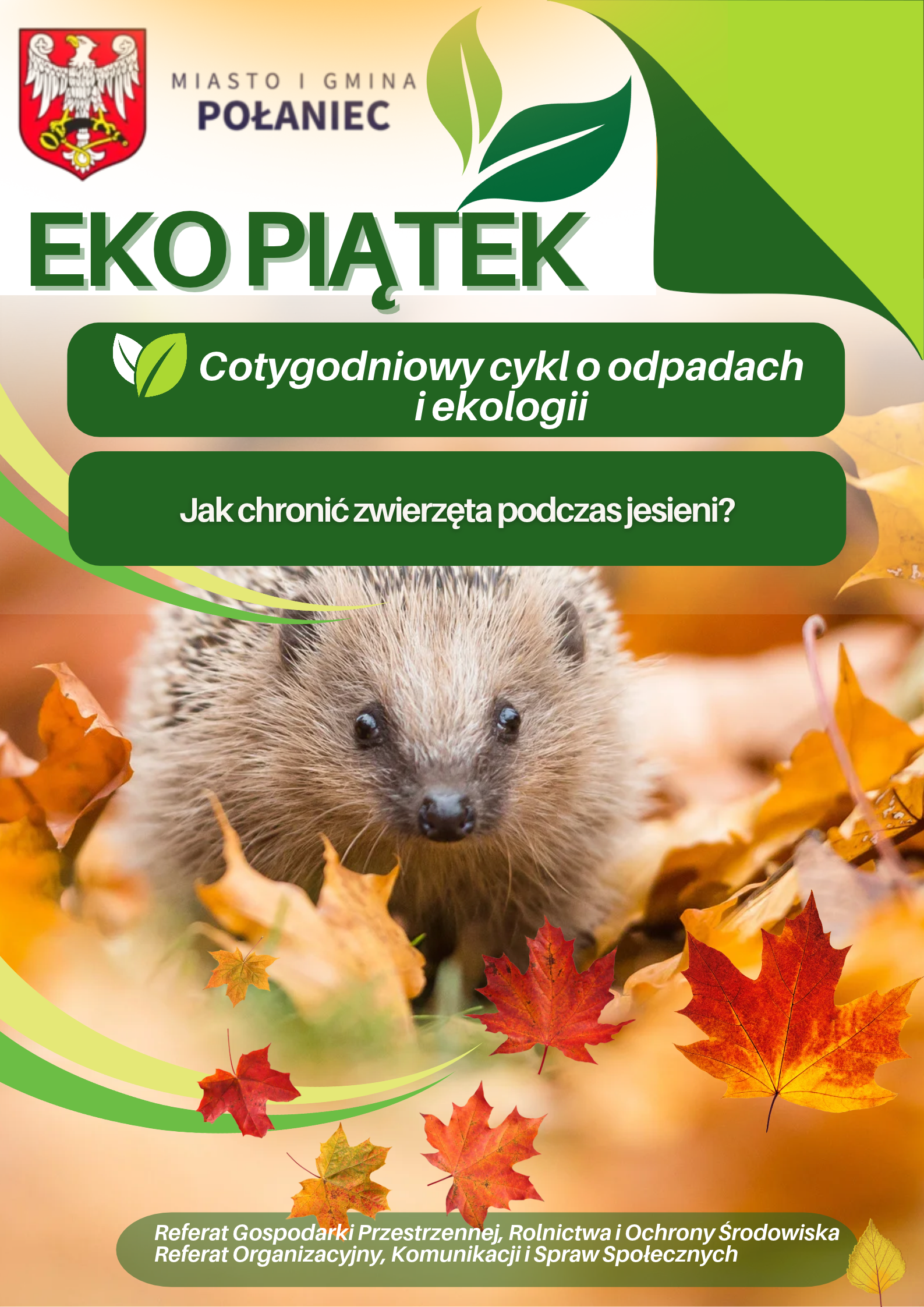 EkoPiątek#41