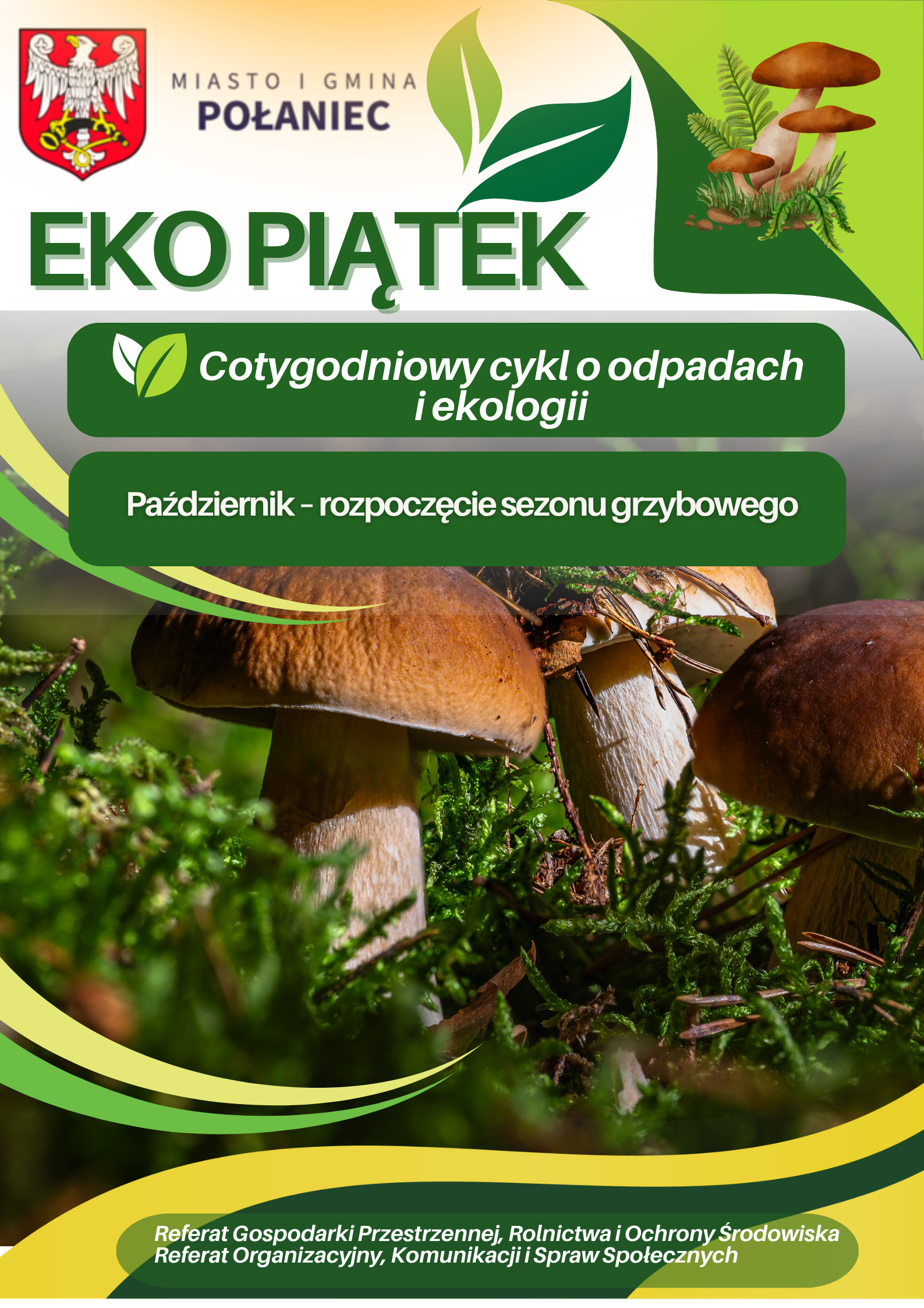 EkoPiatek38