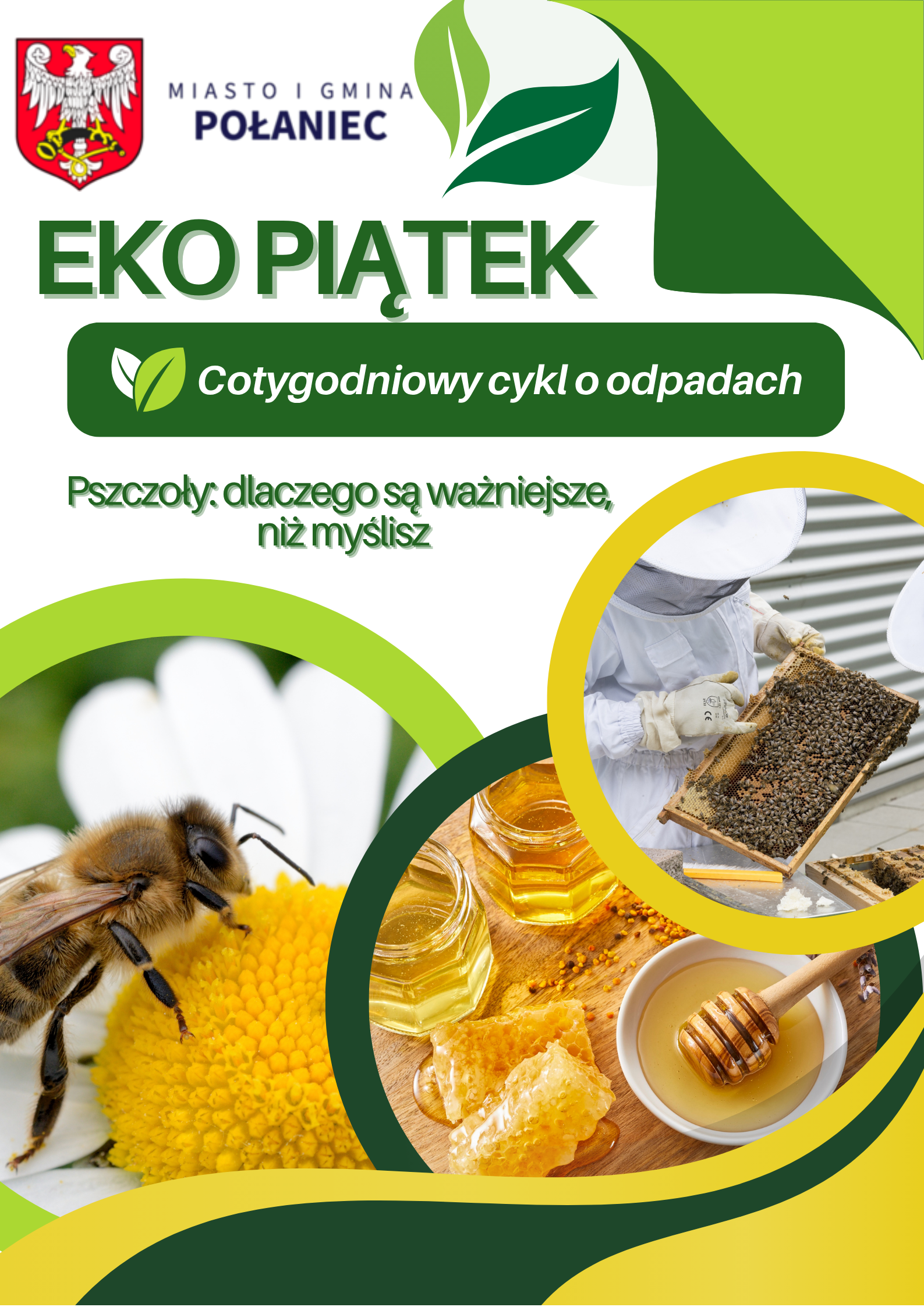 Pszczoły