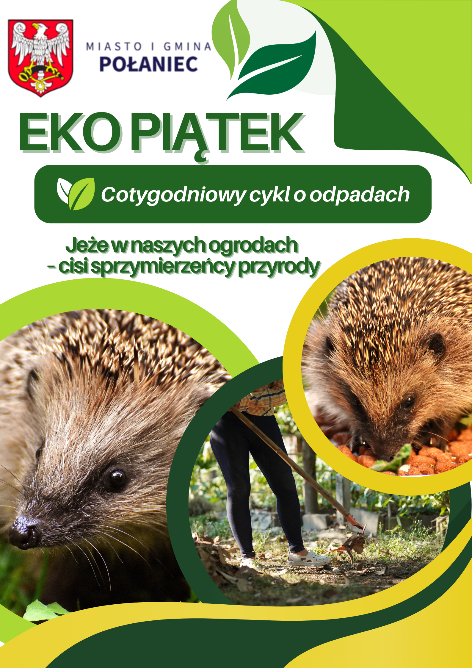 EkoPiątek