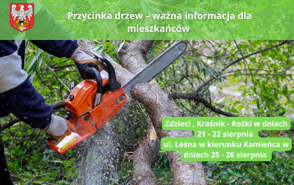 Przycinka drzew