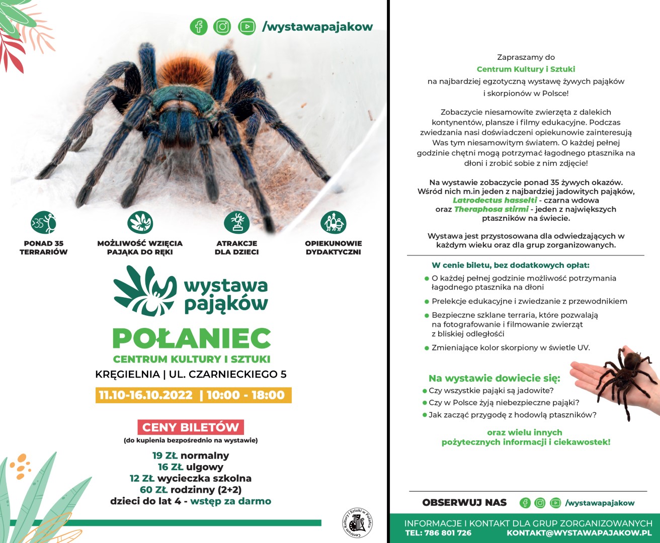 pająki