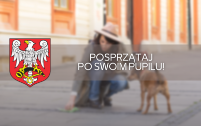 Zdjęcie do Posprzątaj po swoim pupilu! 