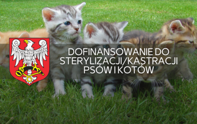 Zdjęcie do Dofinansowanie do sterylizacji/kastracji ps&oacute;w i kot&oacute;w