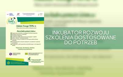 Zdjęcie do Inkubator Rozwoju - szkolenia dostosowane do potrzeb
