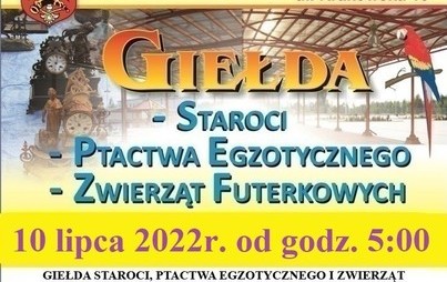 Zdjęcie do GIEŁDA STAROCI, PTACTWA EGZOTYCZNEGO I ZWIERZĄT FUTERKOWYCH