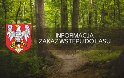 Zdjęcie do Informacja - zakaz wstępu do lasu