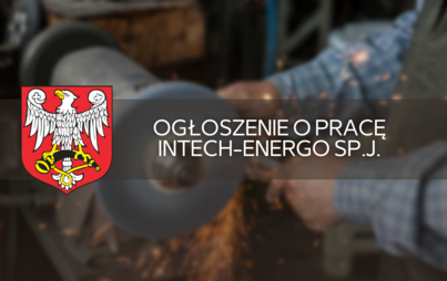 Zdjęcie do Ogłoszenie o pracę Intech-Energo Sp.J. 