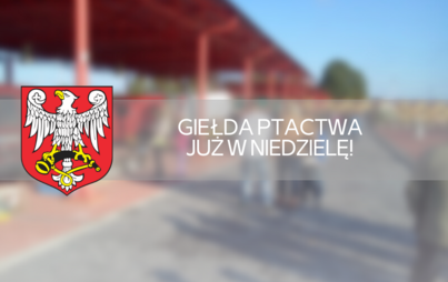 Zdjęcie do Giełda ptactwa i zwierząt futerkowych w Połańcu 