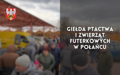 Zdjęcie do Giełda ptactwa i zwierząt futerkowych w Połańcu
