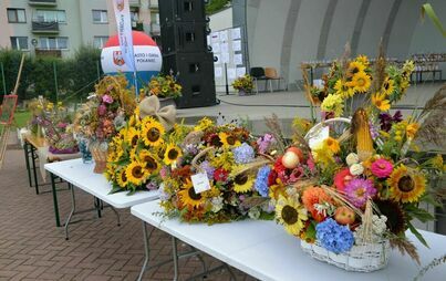 Zdjęcie do VI Biesiada Środowiskowych Dom&oacute;w Samopomocy i Przyjaci&oacute;ł w Połańcu