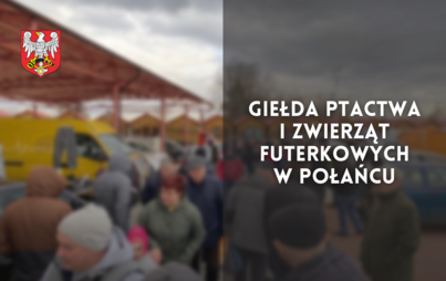 Zdjęcie do Giełda ptactwa i zwierząt futerkowych w Połańcu 