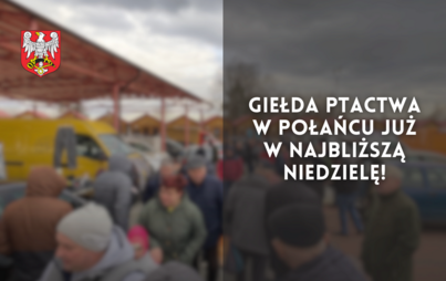 Zdjęcie do Giełda ptactwa w Połańcu już w najbliższą niedzielę!