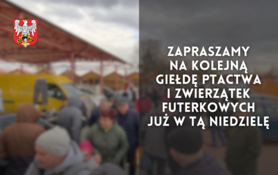 Zdjęcie do Zapraszamy na kolejną giełdę ptactwa i zwierzątek futerkowych - już w tą niedzielę