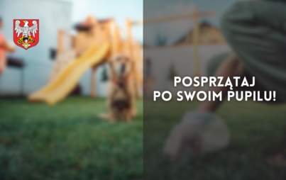 Zdjęcie do Posprzątaj po swoim pupilu!
