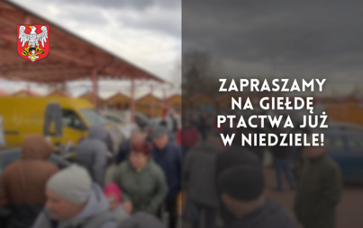 Zdjęcie do Zapraszamy na giełdę ptactwa już w niedziele!