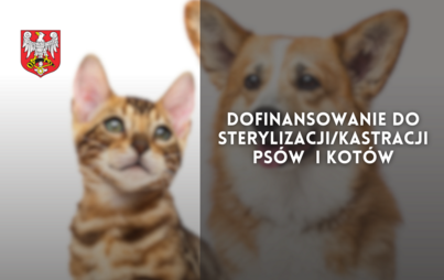 Zdjęcie do Dofinansowanie do sterylizacji/kastracji ps&oacute;w i kot&oacute;w