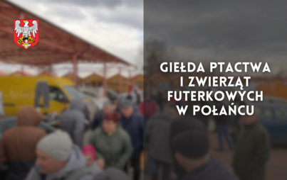 Zdjęcie do Giełda ptactwa i zwierząt futerkowych w Połańcu