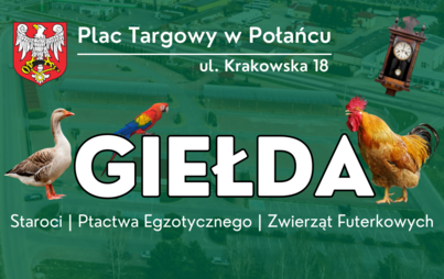 Zdjęcie do Giełda ptactwa i zwierząt futerkowych w Połańcu