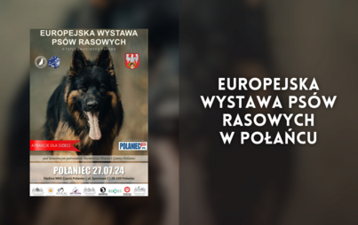 Zdjęcie do Europejska Wystawa Ps&oacute;w Rasowych w Połańcu!