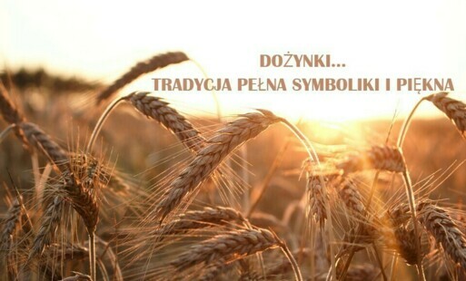 Dożynki