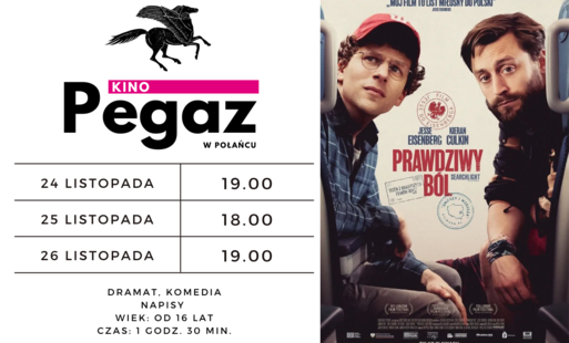 Zdjęcie do Zapraszamy do Kina Pegaz na film "Prawdziwy B&oacute;l" 
