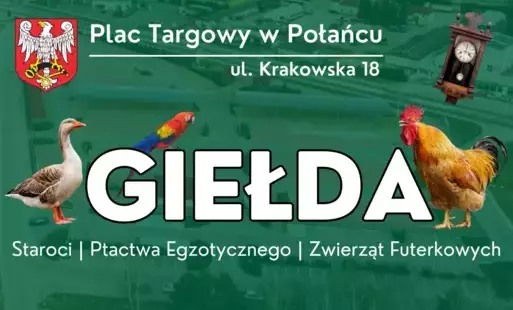 Zdjęcie do Giełda ptactwa i zwierząt futerkowych w Połańcu