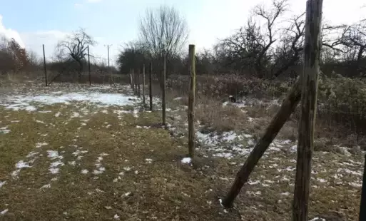 Zdjęcie do Sukcesywne przeglądy oraz prace remontowe obiekt&oacute;w użyteczności publicznej realizowane przez Gminę Połaniec
