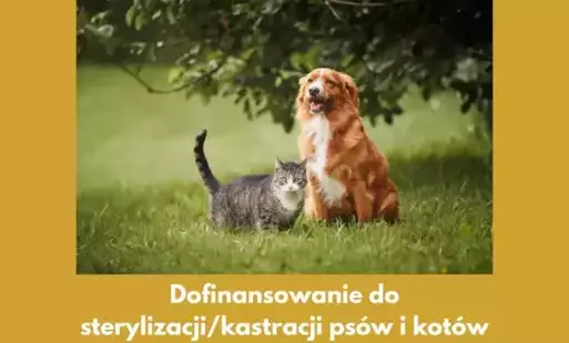 Zdjęcie do Dofinansowanie do sterylizacji/kastracji ps&oacute;w i kot&oacute;w