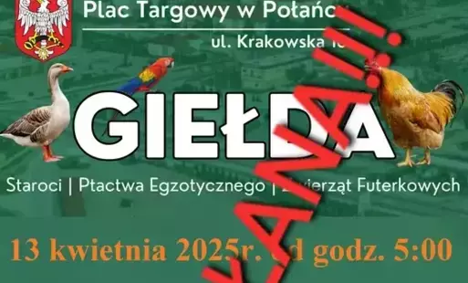 Zdjęcie do Uwaga! Giełda ptactwa i staroci zostaje odwołana
