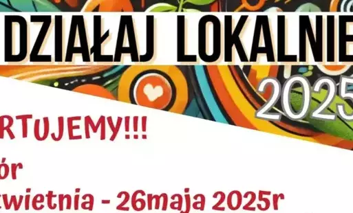 Zdjęcie do Działaj Lokalnie edycja 2025