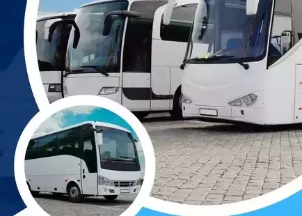 transport na wybory