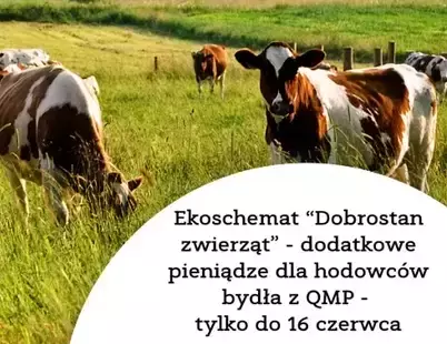 Zdjęcie artykułu z dnia 29-05-2025