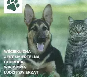Zdjęcie do Szczepienia przeciwko wściekliźnie