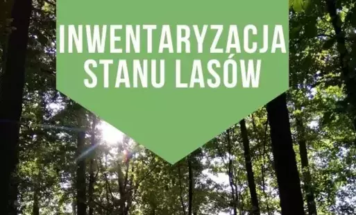 Zdjęcie artykułu z dnia 14-07-2025