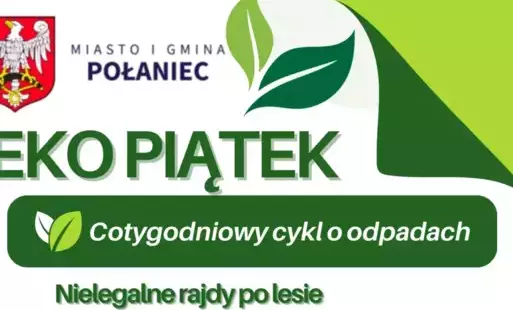 Zdjęcie do Nielegalne rajdy po lesie&nbsp;