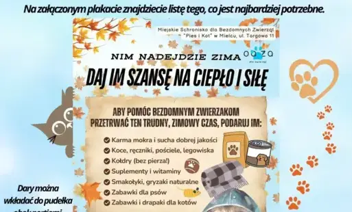 Zdjęcie do &bdquo;Otw&oacute;rzmy serca dla małych przyjaci&oacute;ł&rdquo; &ndash; Szkoła Podstawowa w Połańcu w akcji!