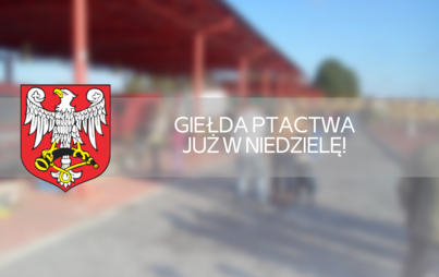 Zdjęcie do Giełda ptactwa już w niedzielę
