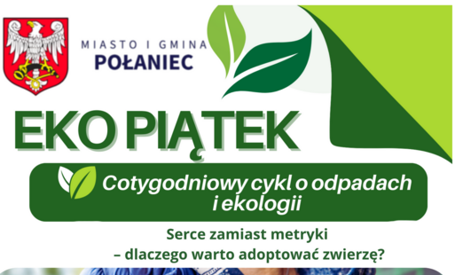 Zdjęcie do Serce zamiast metryki &ndash; dlaczego warto adoptować zwierzę?