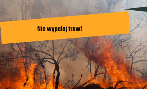 Zdjęcie do Apel Policji &ndash; nie wypalajmy traw!